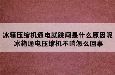 冰箱压缩机通电就跳闸是什么原因呢 冰箱通电压缩机不响怎么回事